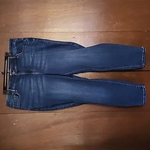 Lane Bryant Signature Fit Mid-Rise Skinny Jeans